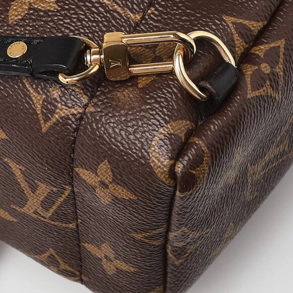 Louis Vuitton Monogram Canvas Palm Springs Mini Backpack Bag - Picture 4 of 11